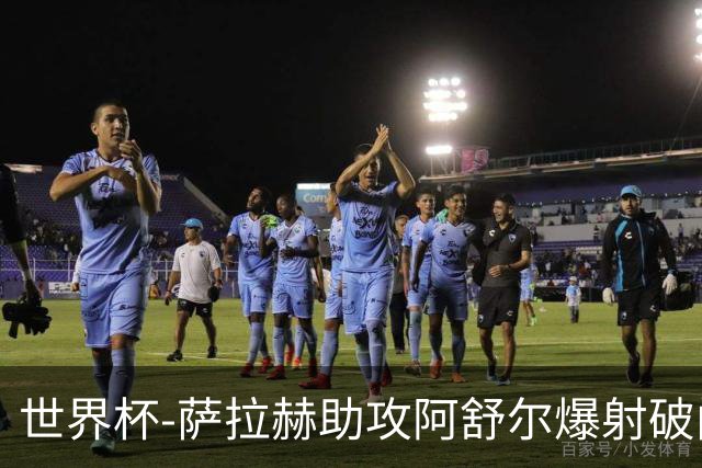 世界杯-萨拉赫助攻阿舒尔爆射破门 埃及半场1-0比利时